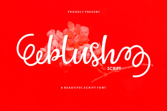 Blush Script: A Playful Typeface for Expressive Editorial Design