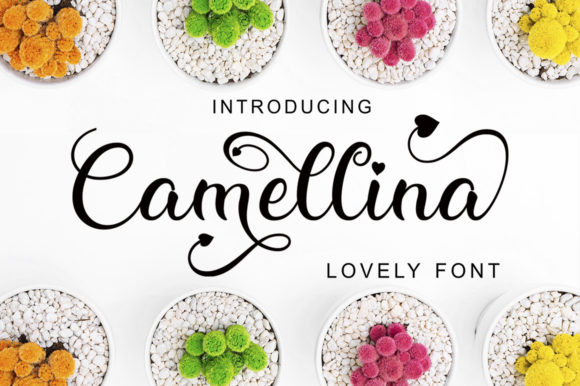 Crafting with Camellina Script: A Beautiful Script Font for Handmade Labels, Invitations & More