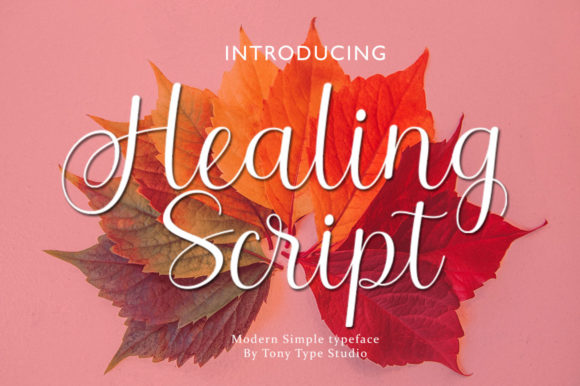 Healing Script: A Signature Style Font for Scroll-Stopping Digital Campaigns
