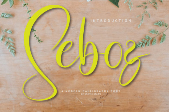 Seboz Script: The Handwritten Font That Adds Heart to Every Handmade Product