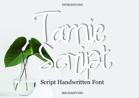 Tamie Script: A Designer’s Honest Review for Real-World Projects